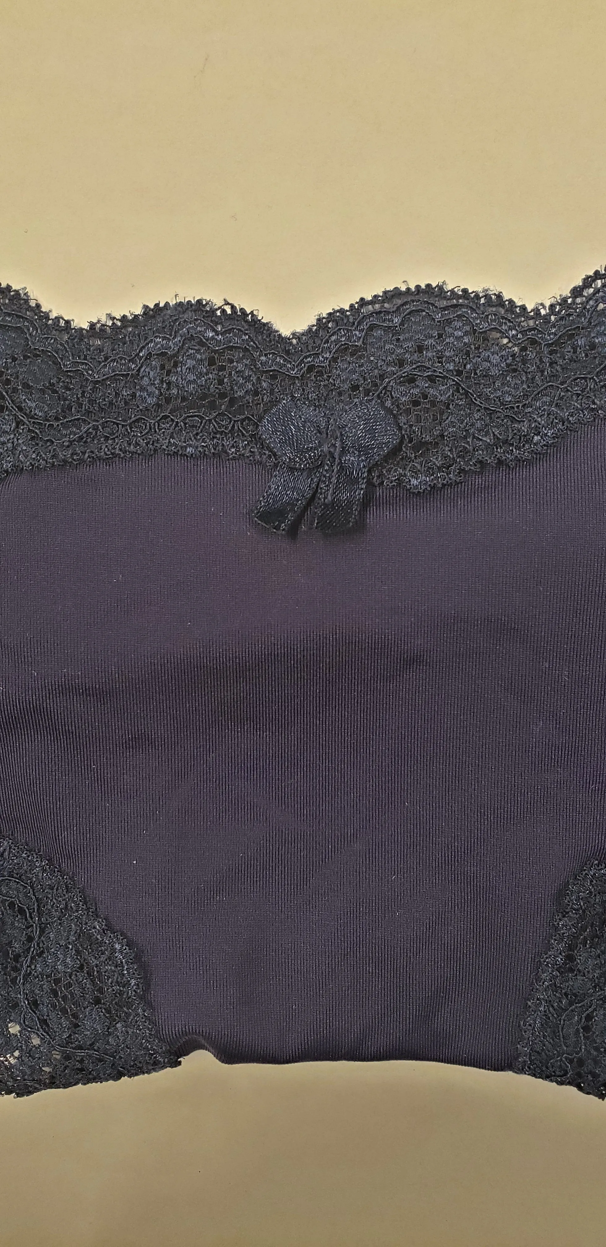CHARMO LACE TRIM BIKINI PANTIES