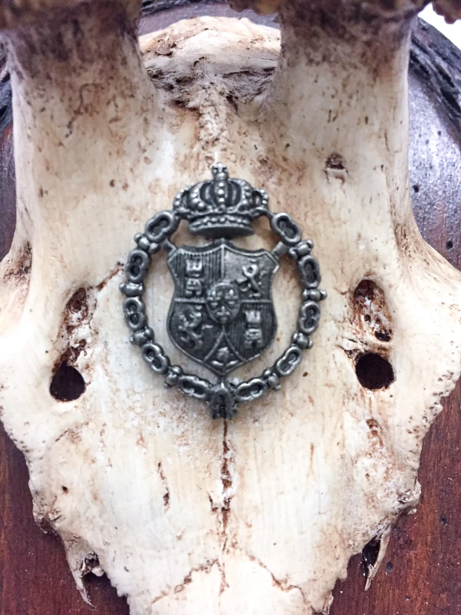 Early 19th Century Habsburg Roe Trophies on Hand Carved Black Forest Plaques