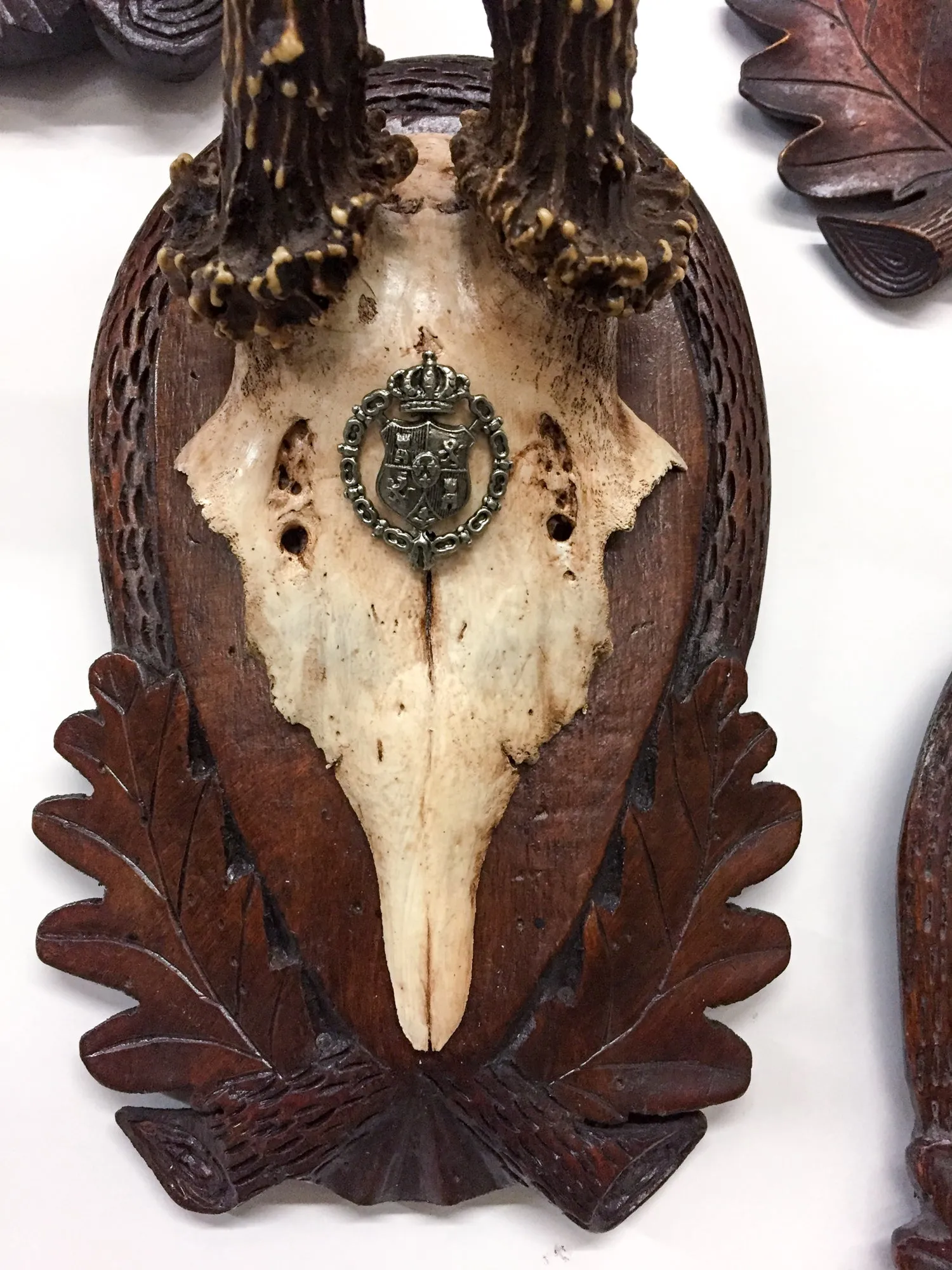 Early 19th Century Habsburg Roe Trophies on Hand Carved Black Forest Plaques