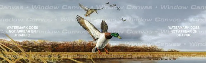 Mallard Flock Rear Window Decal