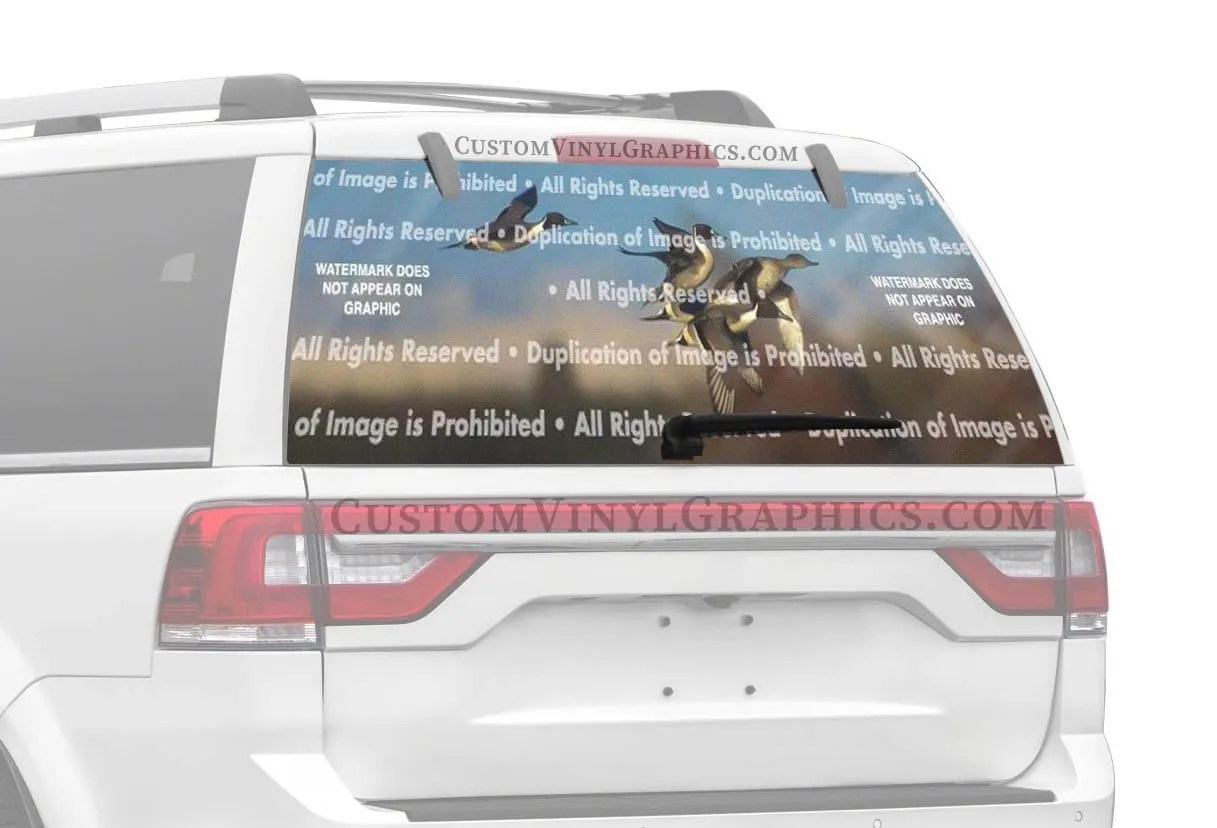 Northern Pintail Rear Window Decal